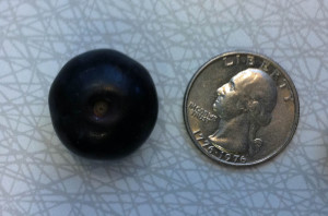 Look at the size of that blueberry-2